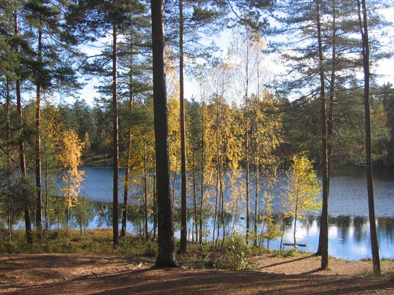 фото "Карелия осенью" метки: пейзаж, вода, лес