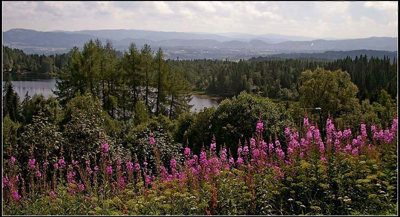 photo "Cold summer view" tags: landscape, summer