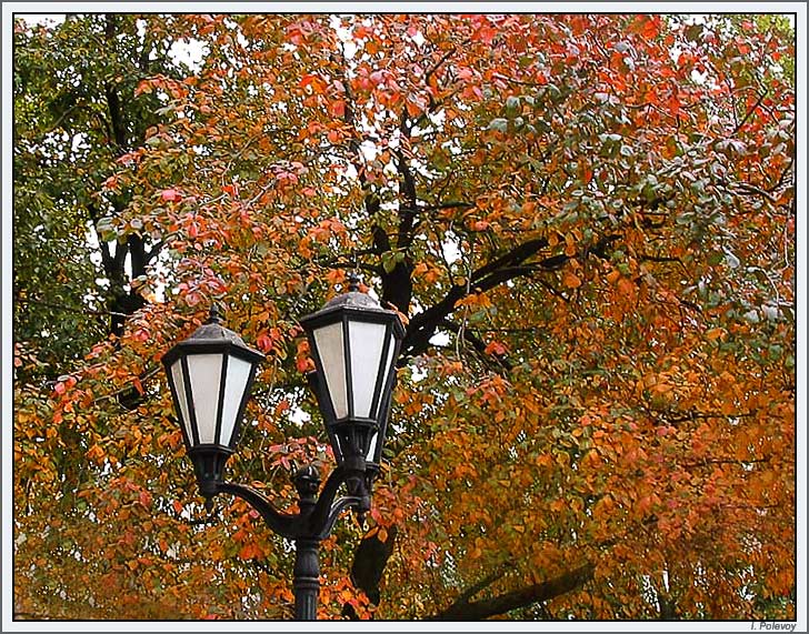 фото "Осенняя зарисовка" метки: пейзаж, архитектура, осень