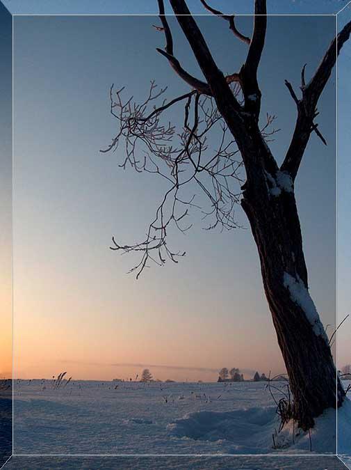photo "****" tags: landscape, winter