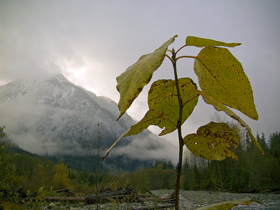 photo "l o n g  g o n e" tags: landscape, autumn, mountains