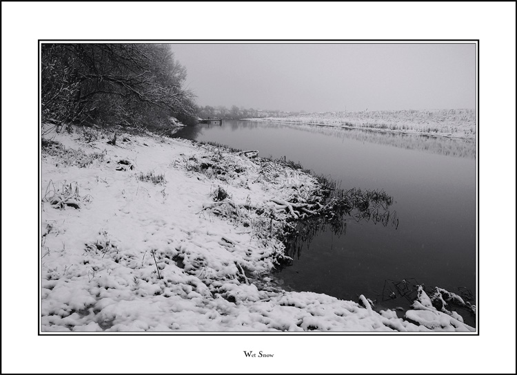 photo "Wet Snow" tags: black&white, landscape, autumn