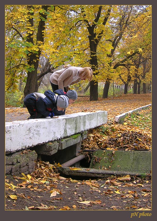 фото "где водятся волшебники?" метки: жанр, пейзаж, осень