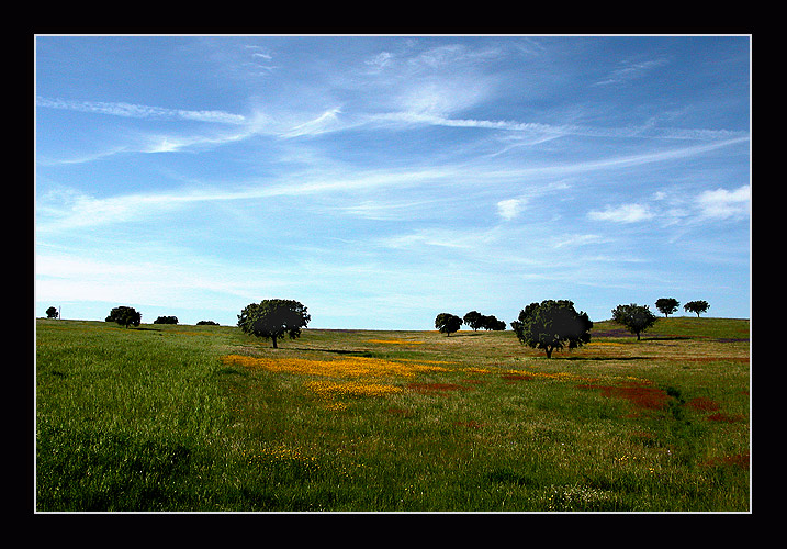 фото "coloured world #09" метки: пейзаж, лето