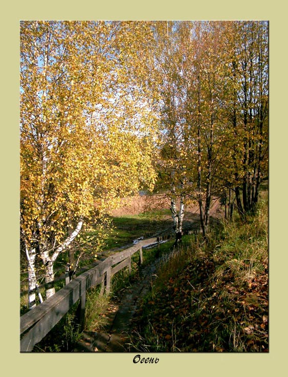 фото "осень" метки: природа, пейзаж, осень