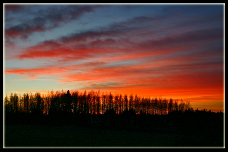 photo "November sky" tags: nature, 