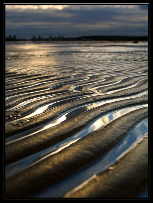 фото "Veins full of autumn sky" метки: природа, пейзаж, 