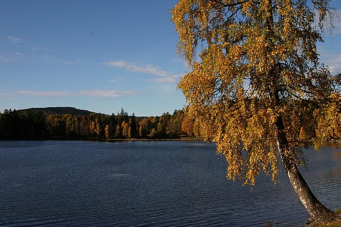 фото "Fall" метки: пейзаж, осень