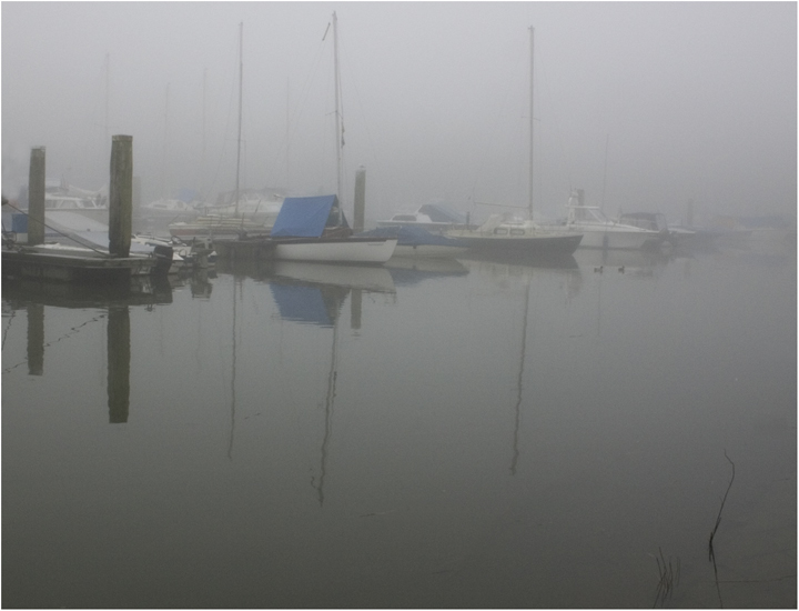 photo "A foggy day" tags: nature, landscape, autumn