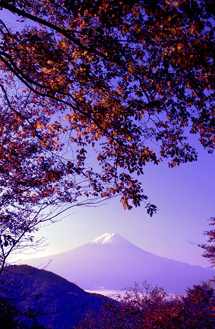 фото "Purple Fuji II" метки: пейзаж, горы, осень