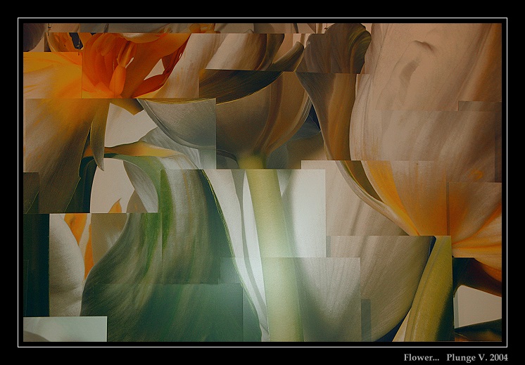 photo "... flower ..." tags: nature, montage, flowers