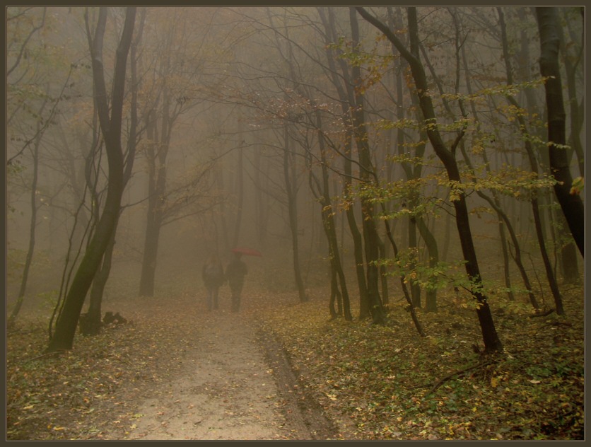 photo "Autumn Ghosts" tags: landscape, autumn