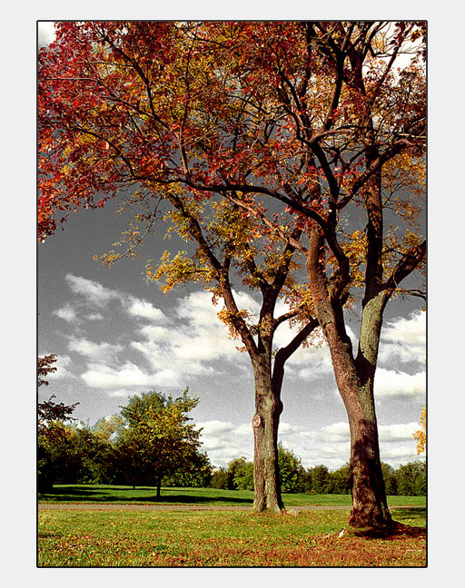 photo "just postcards" tags: landscape, autumn