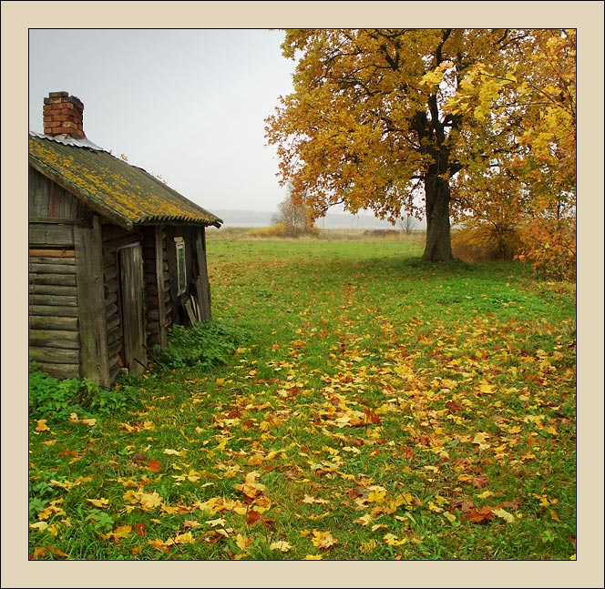 photo "***" tags: nature, landscape, autumn