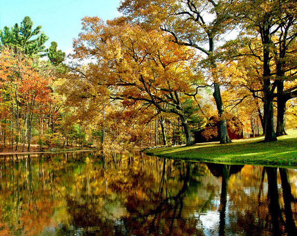 photo "Pond#" tags: landscape, autumn