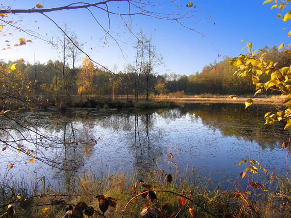 photo "lake" tags: landscape, autumn, water