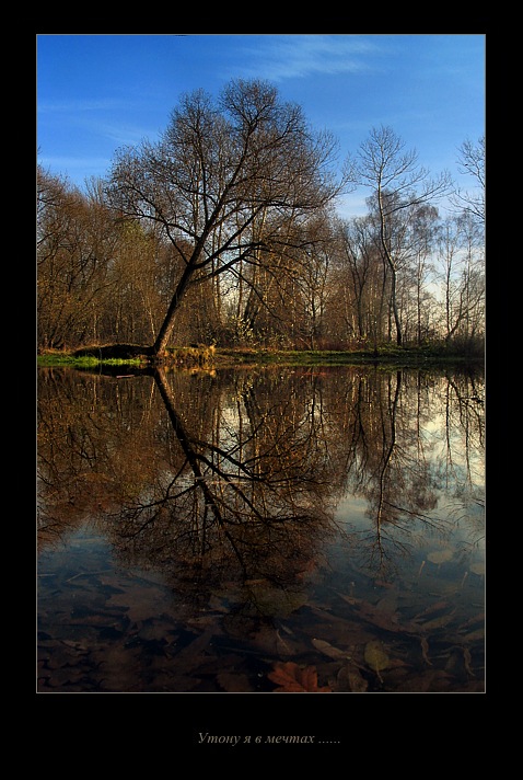 photo "Sinking in the own dreams...." tags: landscape, autumn, water