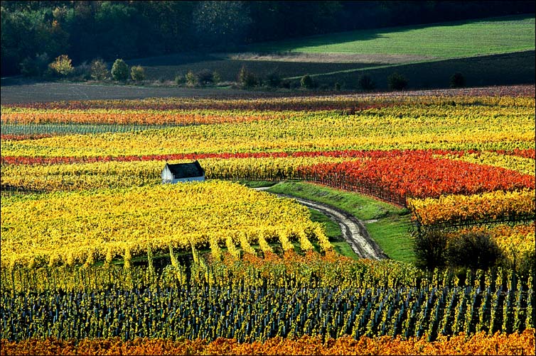 photo "*" tags: landscape, autumn