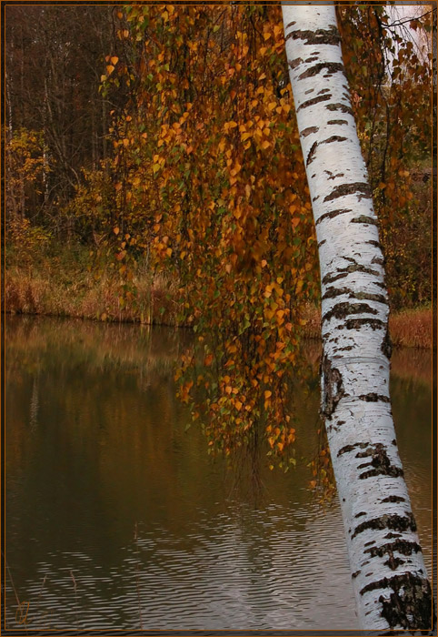 фото "Берендеево царство-2" метки: пейзаж, осень