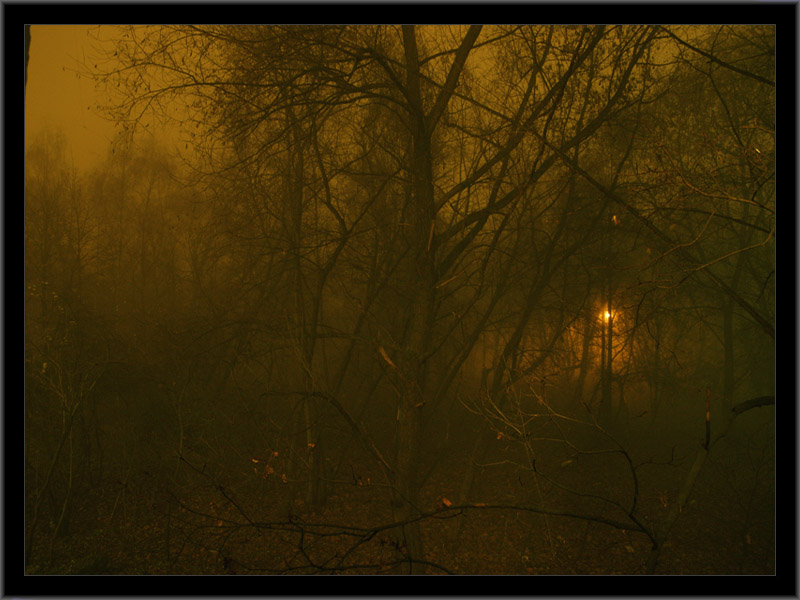 photo "Fog" tags: landscape, autumn, night