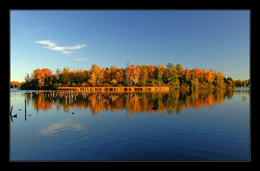 photo "SILENCE" tags: landscape, forest, water