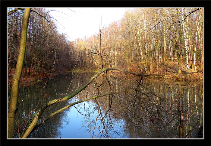 photo "Lesnoe ozero 2" tags: landscape, autumn