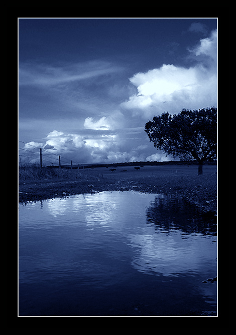 photo "lighted blue" tags: landscape, water