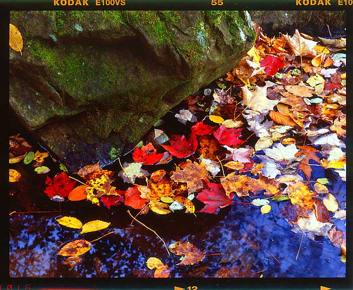 фото "Falling leafs" метки: пейзаж, горы, осень