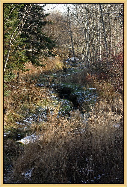 photo "Gold of the fall, Russian landscape" tags: landscape, forest