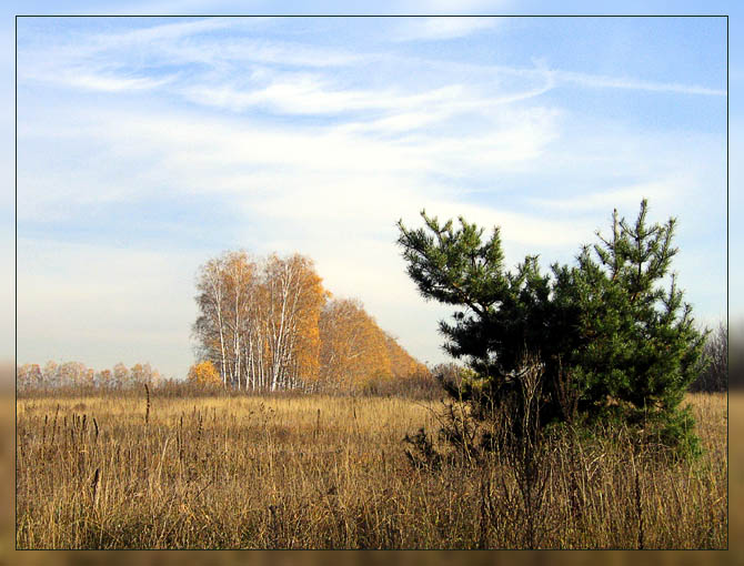photo "Golden autumn" tags: landscape, autumn
