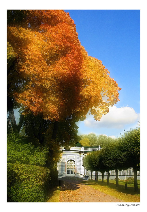photo "SEPTEMBER" tags: landscape, autumn