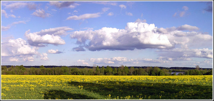 photo "Untitled photo" tags: landscape, clouds, summer