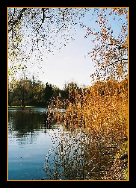 фото "Осенняя гладь" метки: пейзаж, вода, осень