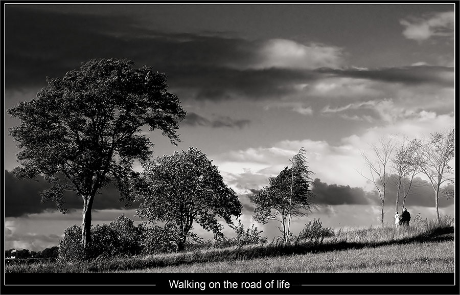 фото "Идущим по дороге жизни" метки: черно-белые, фотомонтаж, 