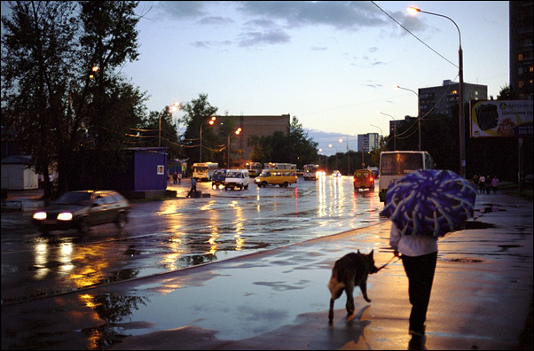 photo "Night walk after rain" tags: genre, 