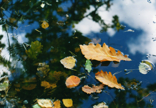 photo "Autumn in the sky" tags: landscape, autumn