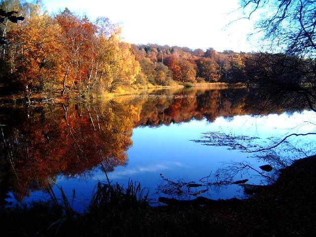 photo "Lake color." tags: nature, 
