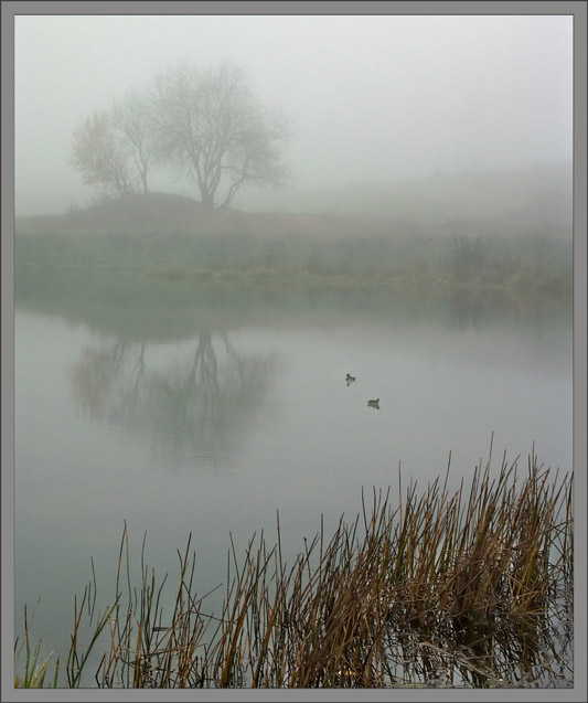 photo "Autumn minimalism" tags: landscape, autumn, water