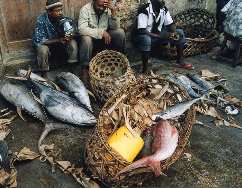 photo "Share of the fisherman" tags: genre, travel, Africa