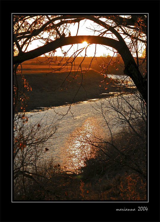 photo "SUN" tags: misc., landscape, autumn