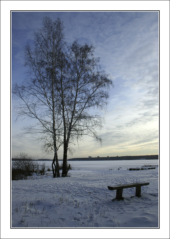 photo "Ashore of freezed lake" tags: landscape, winter