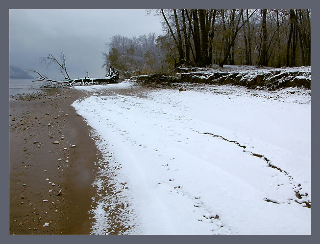 photo "The first snow" tags: misc., landscape, winter