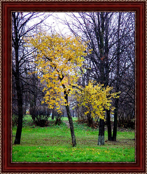 photo "Deep autumn 2" tags: landscape, autumn, forest