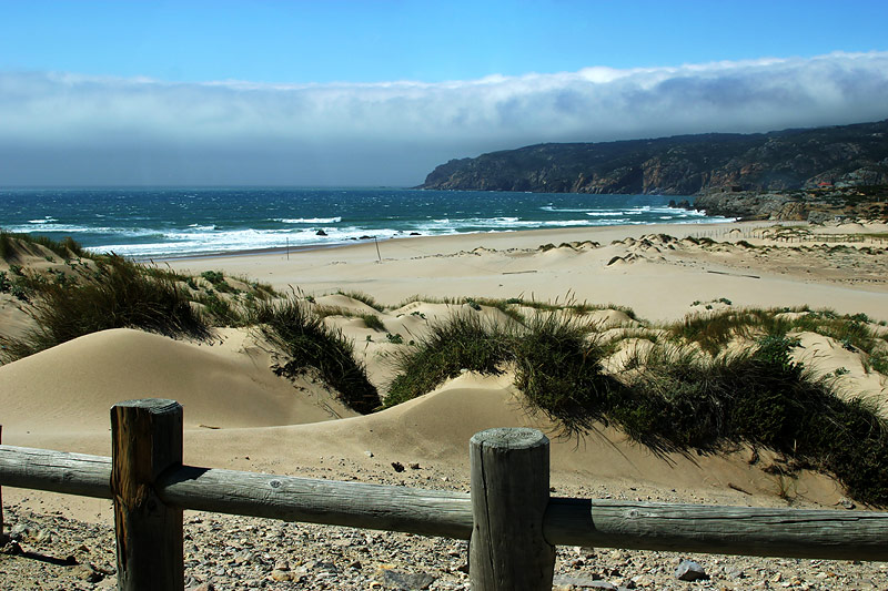 photo "Windy Beach" tags: landscape, summer, water