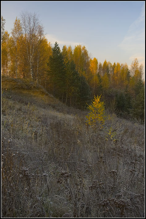 photo "Frosty morning" tags: landscape, misc., forest