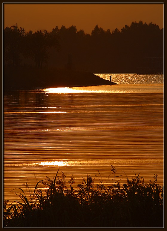 photo "golden evening 1" tags: nature, landscape, sunset