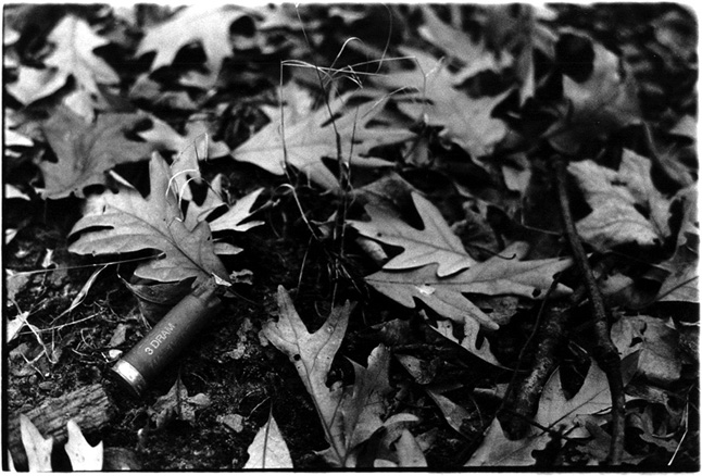 photo "hunting season" tags: misc., 