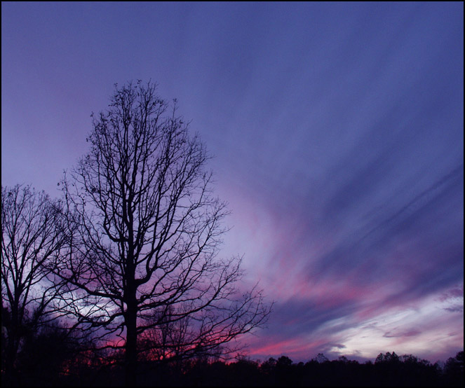 photo "Novena" tags: landscape, nature, flowers, sunset