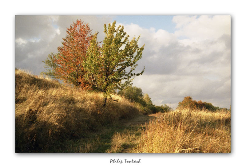 photo "***" tags: landscape, autumn