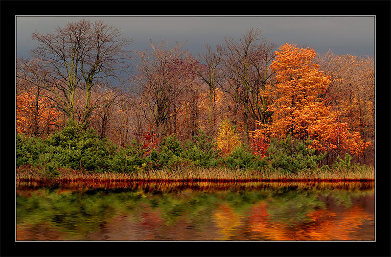 photo "Fall Fairy Tale" tags: landscape, autumn, forest